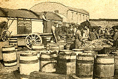 fish barrels