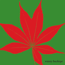 Review of Buckeye