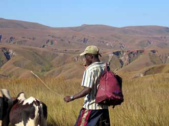 Drovers carry a blanket, cookpot and rice; the hills are quickly eroded