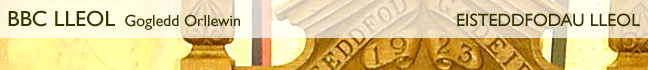 Eisteddfodau Lleol