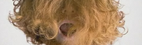 Gingerhead