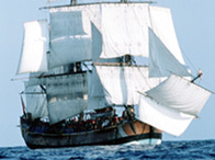 The Endeavour