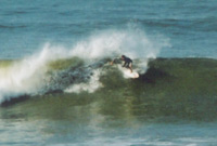 sauzail local