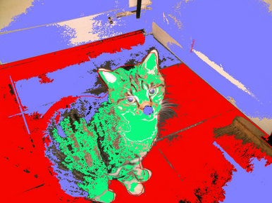 Retro kitty
