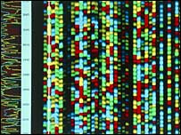 DNA