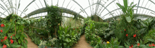 Bedford Butterfly Park  
