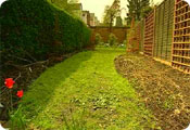 Garden preparation