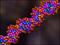 DNA
