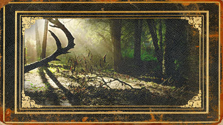 Woodland