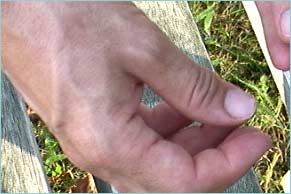 A hand