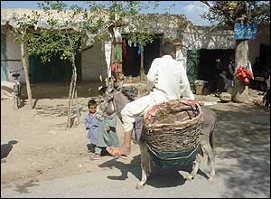 سواری