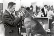 Best In Show