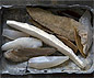 Spearheads from the empty quarter