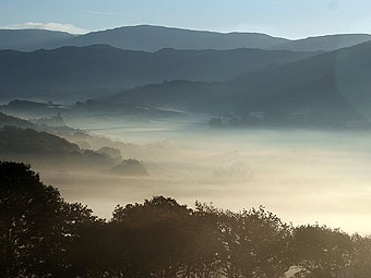Niwl yn y dyffryn.