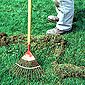 Scarify 