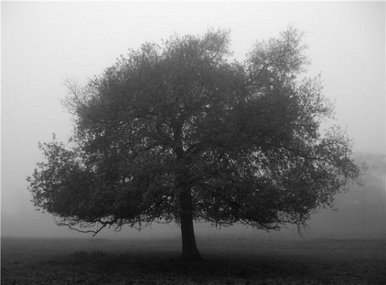 Alone