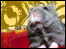 Friday Night Gerbil
