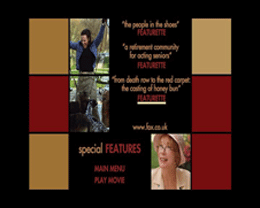 In Her Shoes DVD