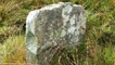 An example of the local Blue stone. 