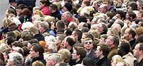 Crowds