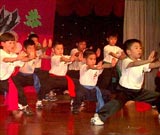 kungfu display
