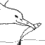 A Seagull.