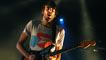 Foals