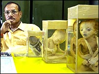 भ्रूण