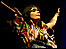 Björk (c) Shirlaine Forrest