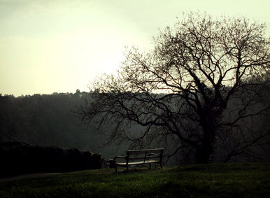 park.