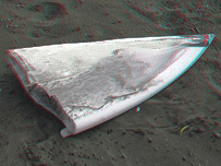 broken board