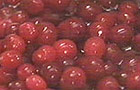 Cranberries (Picture:Ken Muir Ltd)