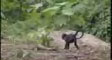 matis's video screenshot thumbnail