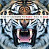 Review of This Is War