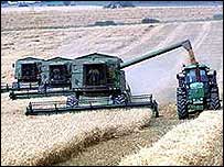 Agricultura