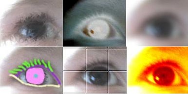 Seeing 6