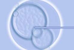 egg freezing