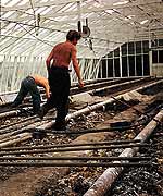 Soil steaming