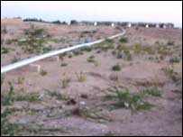 سوئی