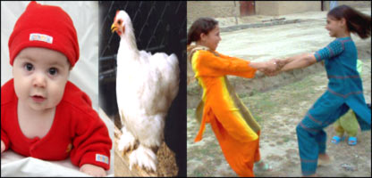 برفيگک
