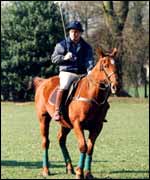 Mounted polo player 