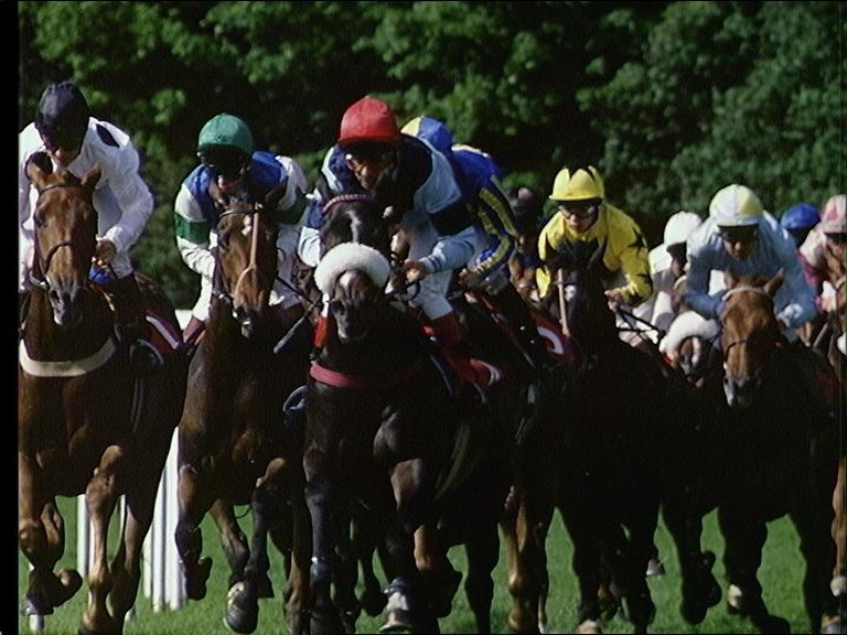 Horse Racing