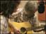 Guitarist