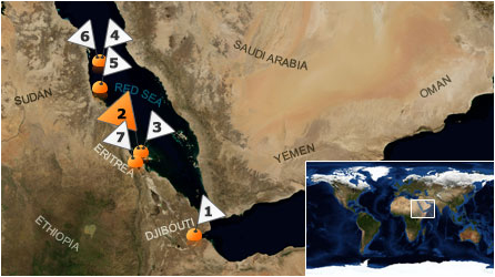 Dive map - Red Sea - Site 2