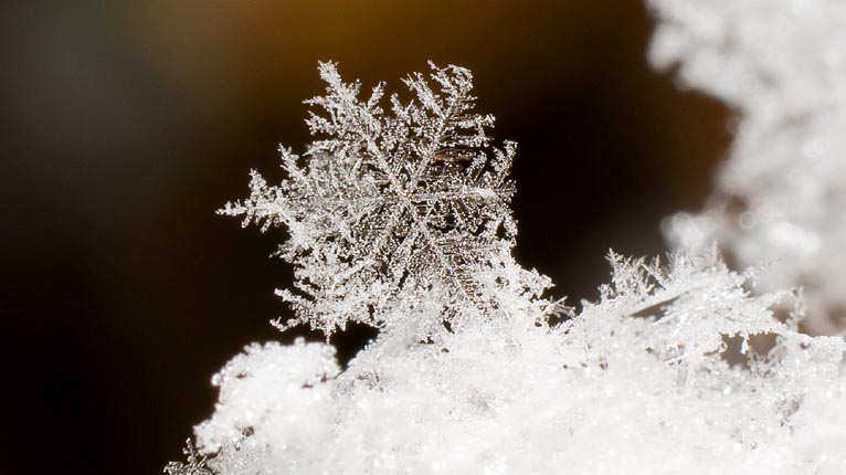 Bleideag sneachda