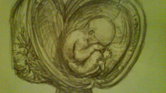 Da Vinci Foetus...