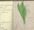 Tudalen o lyfr lloffion o 1909