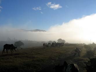 Morning mist in the highlands