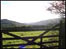 Country view