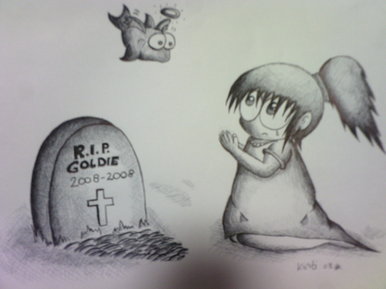 Rip Goldie